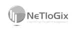 NetLogix Logo